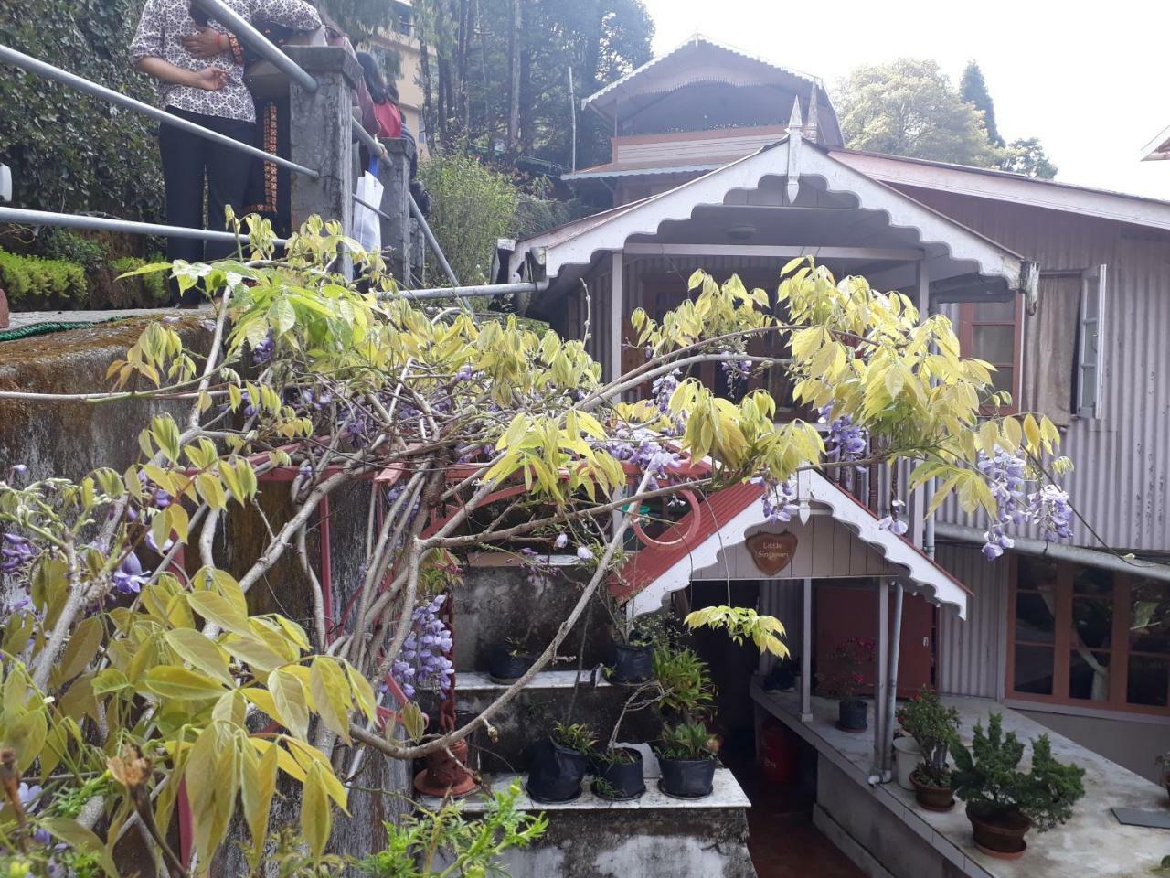 Little Singamari Home Stay 大吉岭 外观 照片